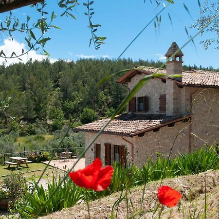 Agriturismo Molino Verde Montecchio (Perugia) Exterior foto